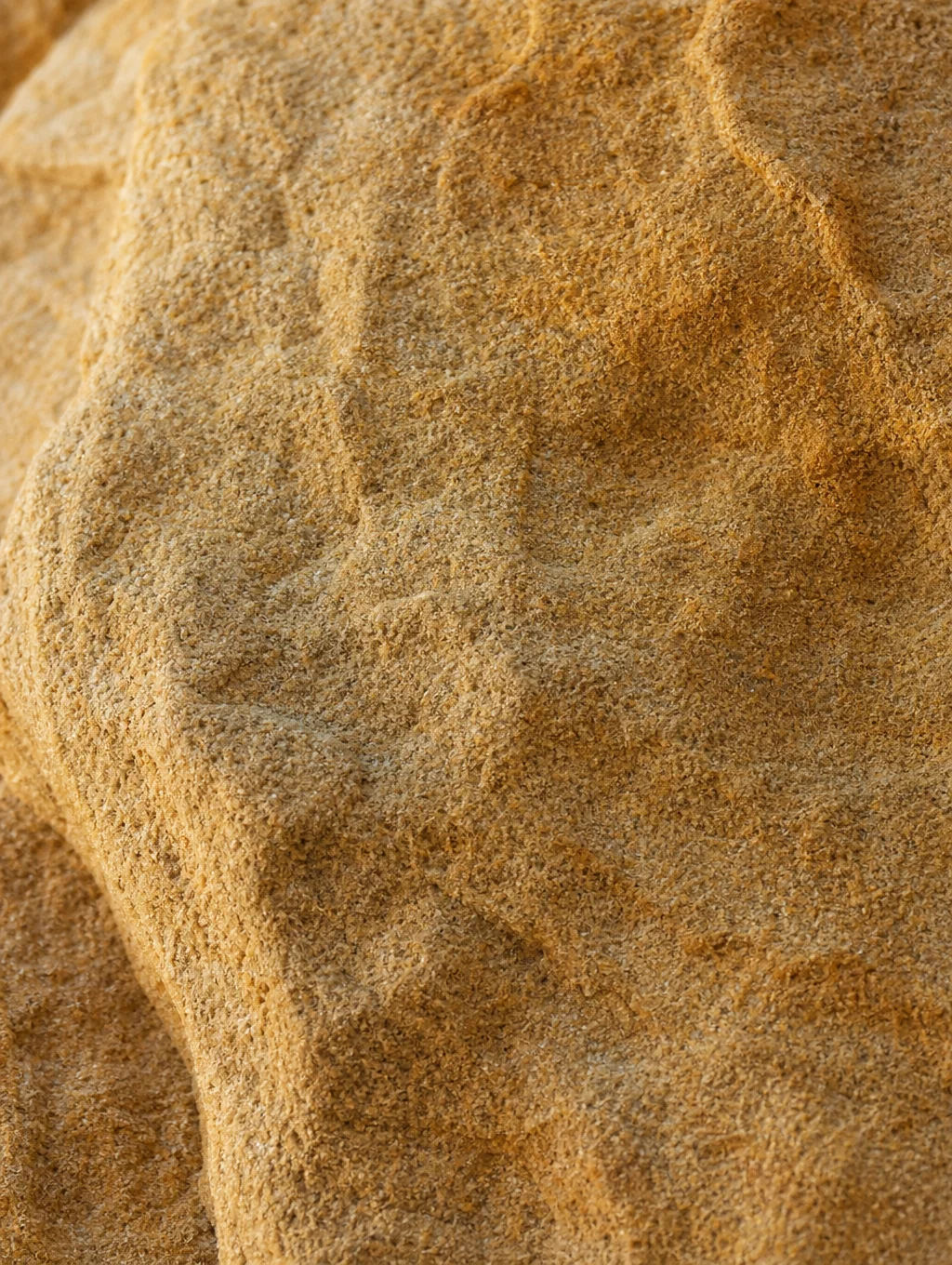 Sculptural stone texture in warm desert light